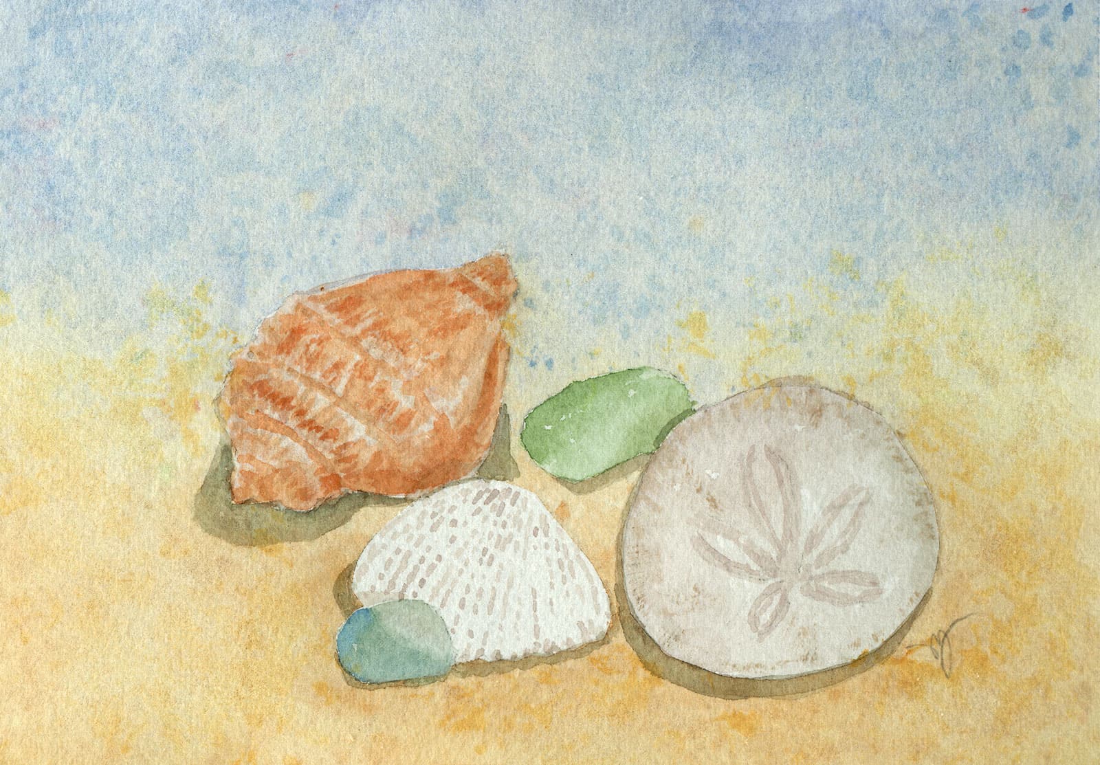 Beach Finds