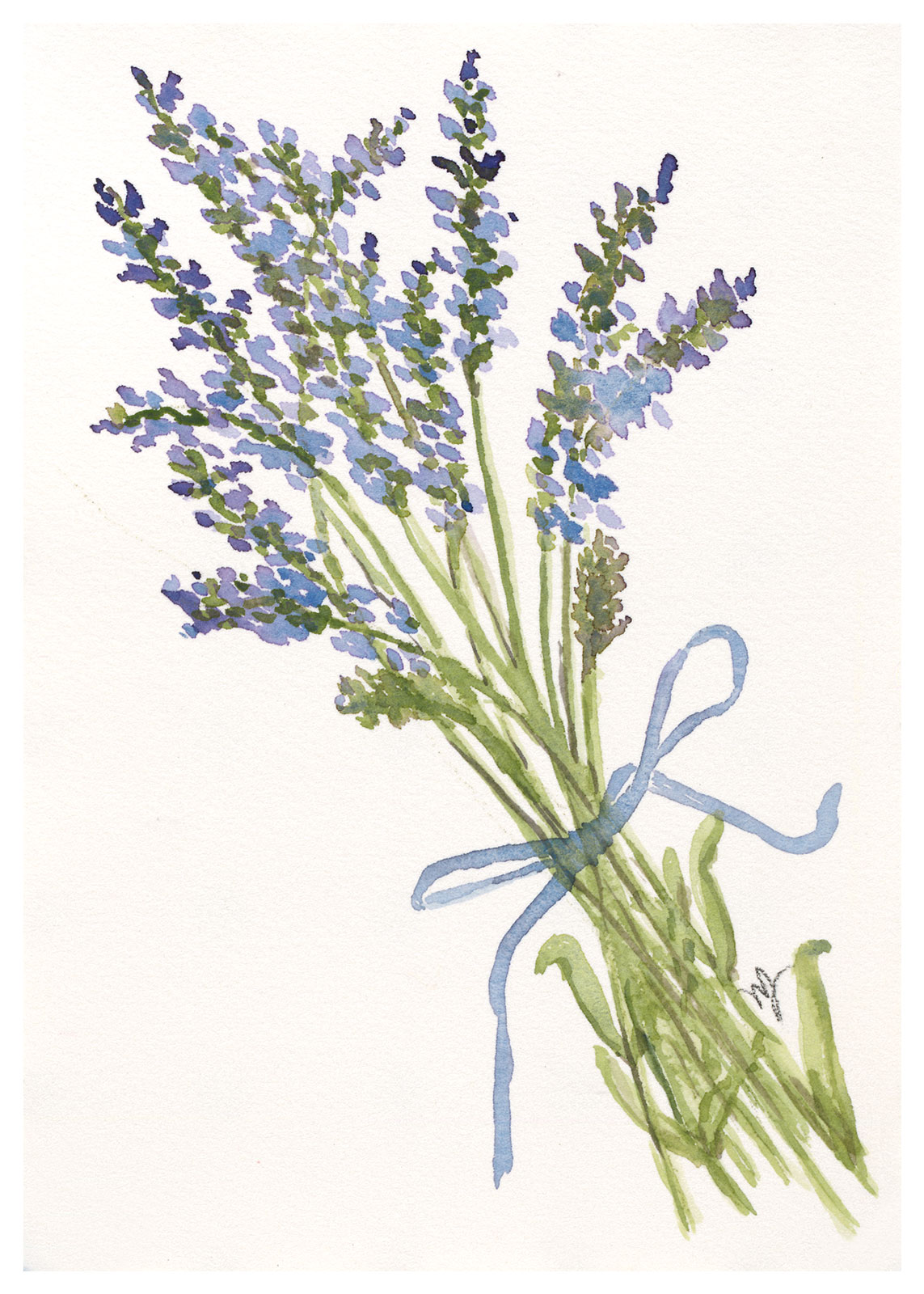 Lavender-for-You-Nancy-Jensen-7-x-5 botanical art