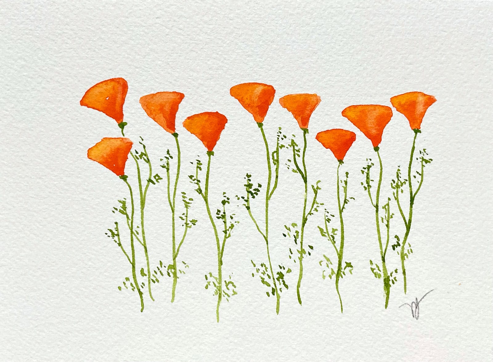 Dancing Poppies