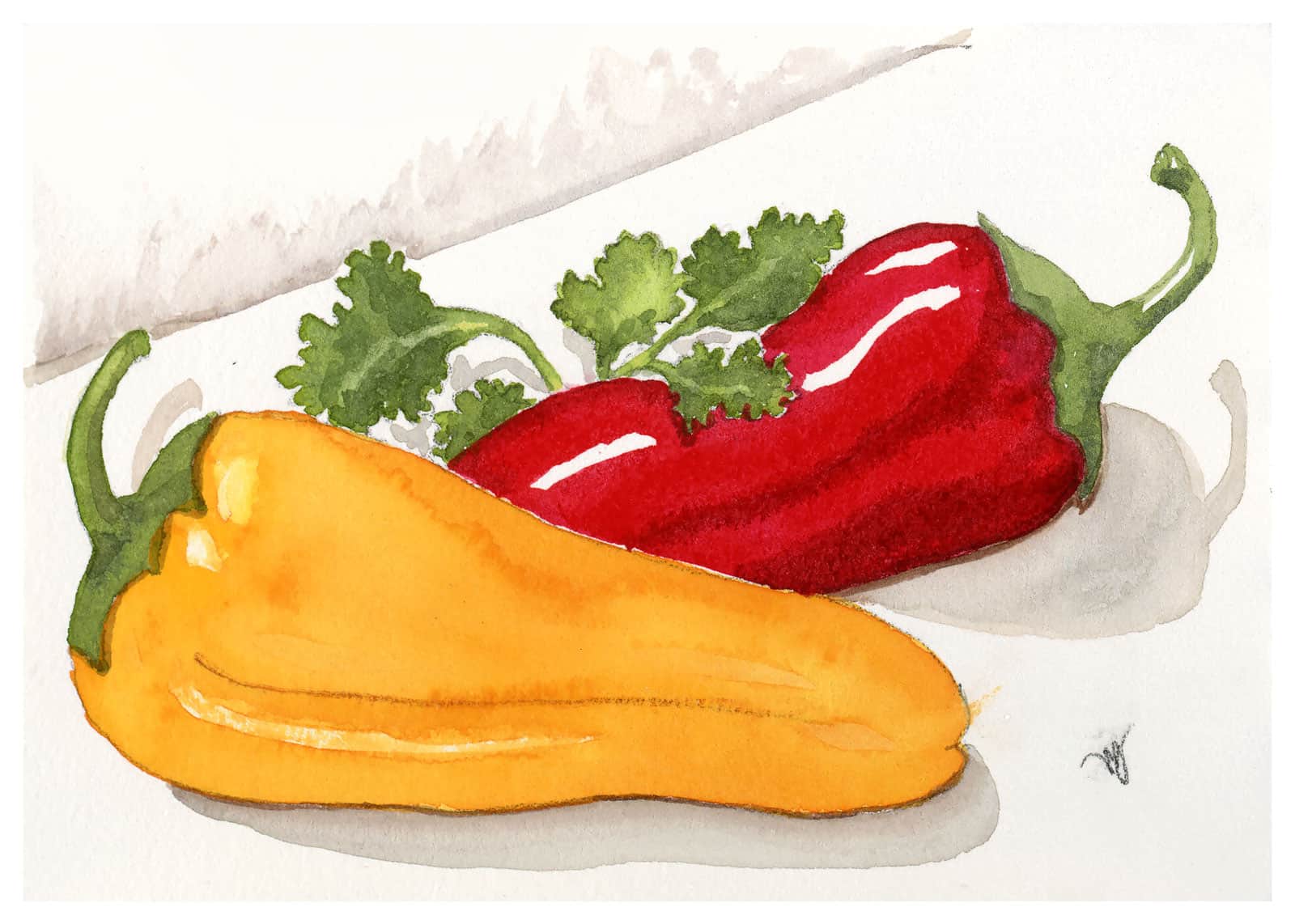 Peppers and Cilantro